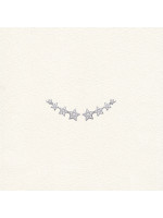 Étoiles Montantes Argent Serties