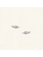 Plume Argent Serties