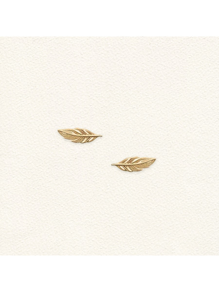 Plume
