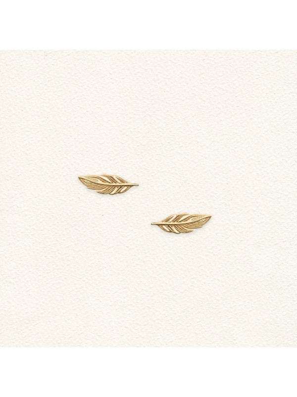 Plume