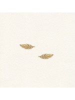 Plume