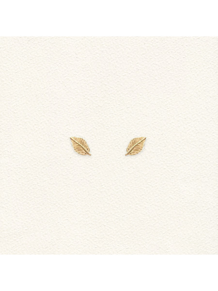 Feuilles