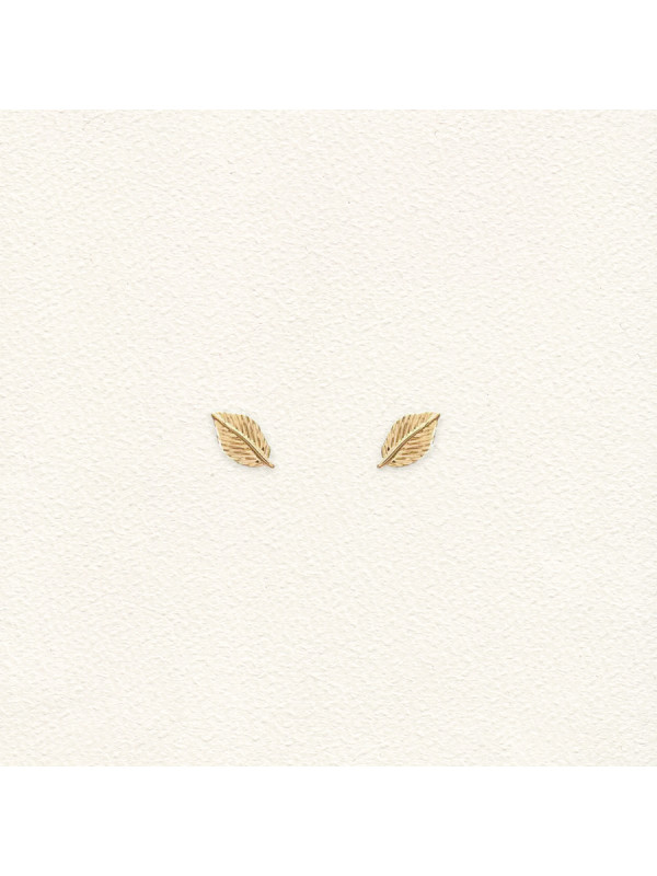 Feuilles