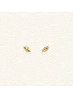 Feuilles